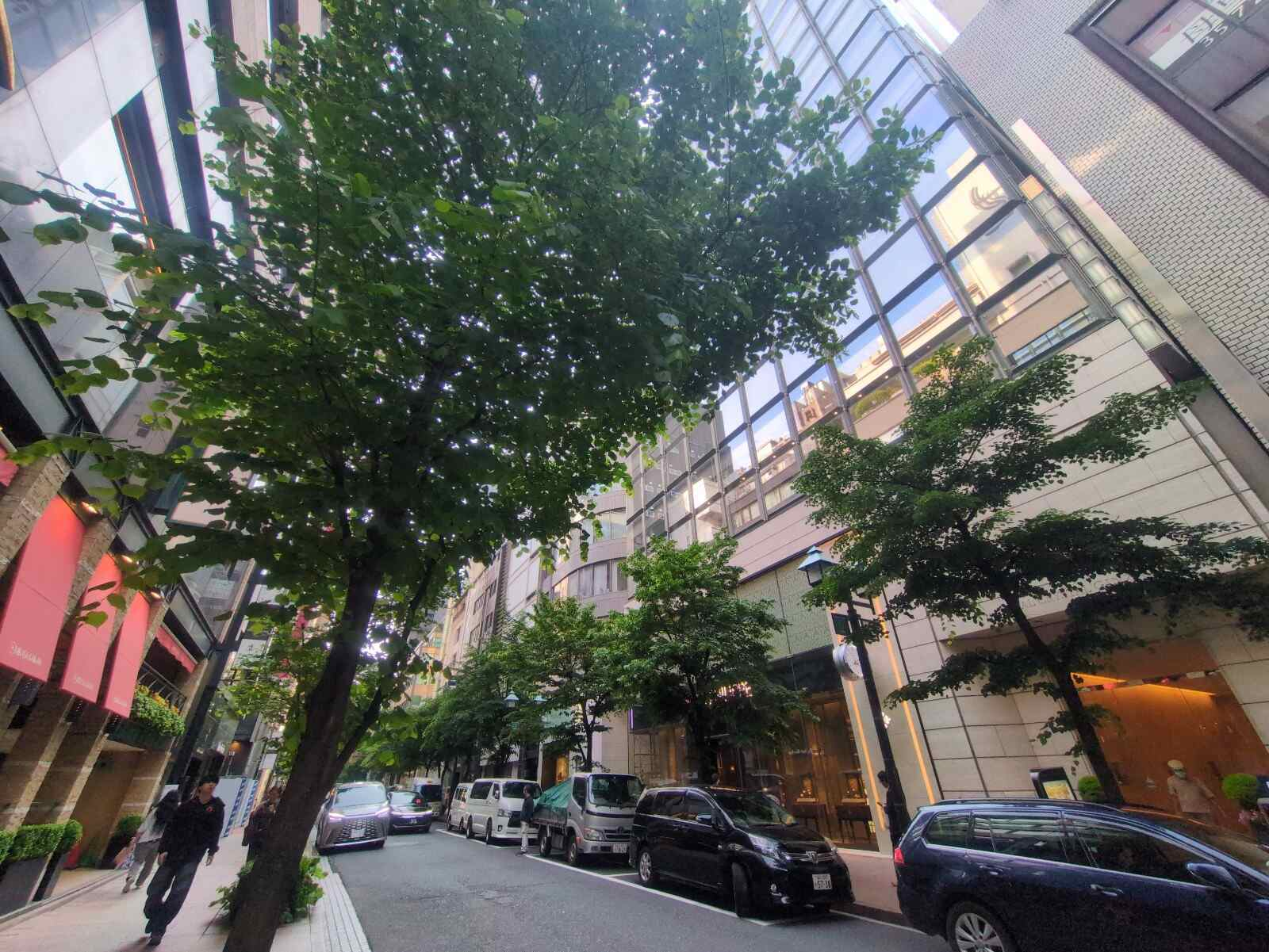 銀座藤小西ビル