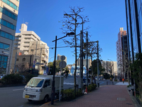 大豊アネックス