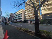 ＧＲＡＮＤＪＯＹＲ・Ｆ