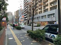 サニーポート芝