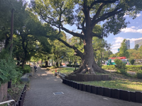 芝公園フロントタワー