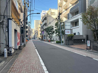 オスカカテリーナ