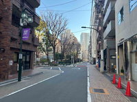 オスカカテリーナ