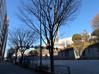 ＶＯＲＴ四谷坂町