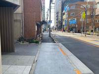 NOVEL WORK 新宿御苑