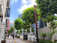 日本分譲住宅会館ビル