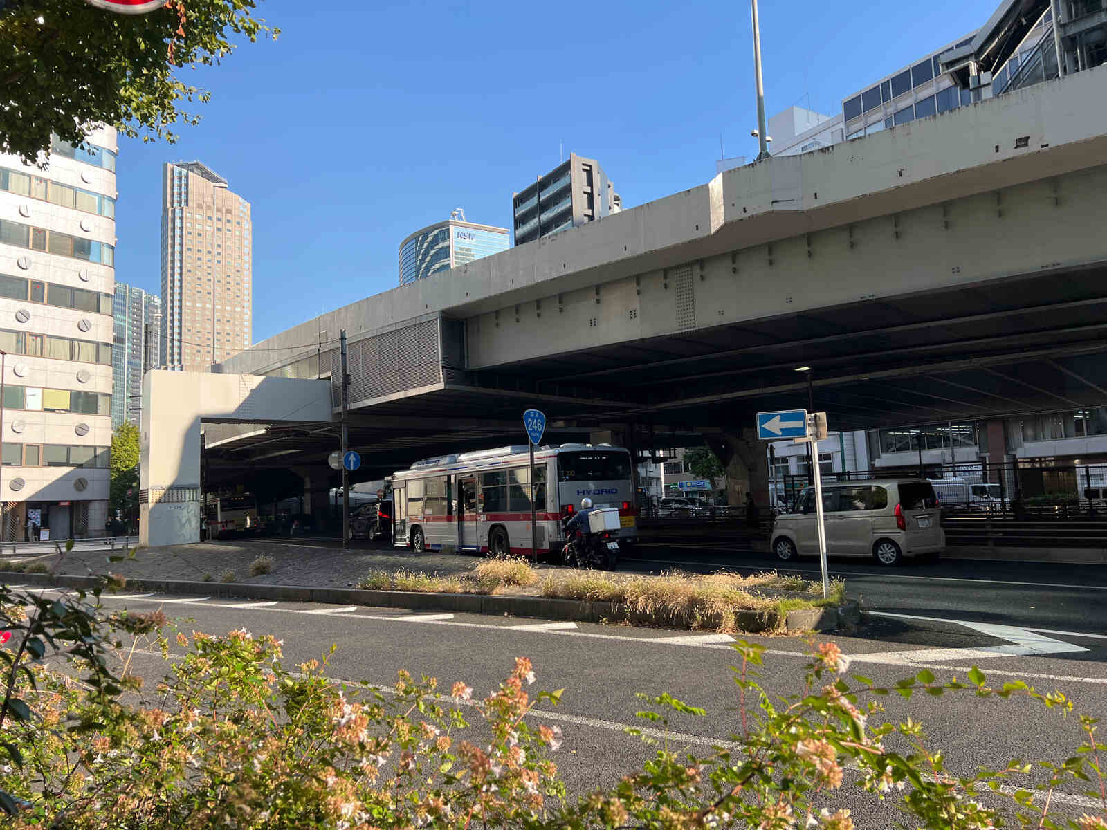 いちご渋谷道玄坂ビル