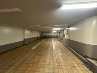 グリーンファンタジアビル