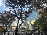 グリーンファンタジアビル