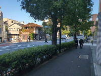 パークレーンプラザ