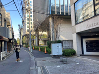 アルカサルビル