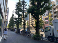 恵比寿斉信ビル