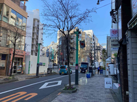 マーブルフロントエビス