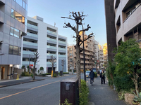 ルネスＥ.Ｂ.Ｉ