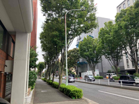 パラッツオ大山