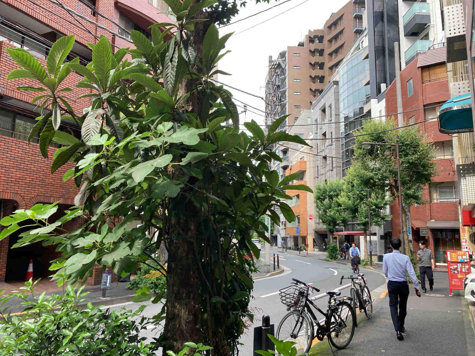 トラスティ麹町ビル