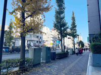 いちご本郷三丁目ビル