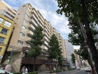 白山麻の実ビル