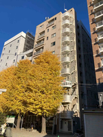 ベルファース浅草