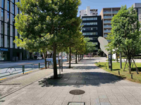 ワテラス　アネックス