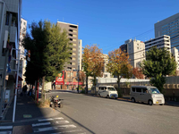 ウィンド築地Ⅱビル