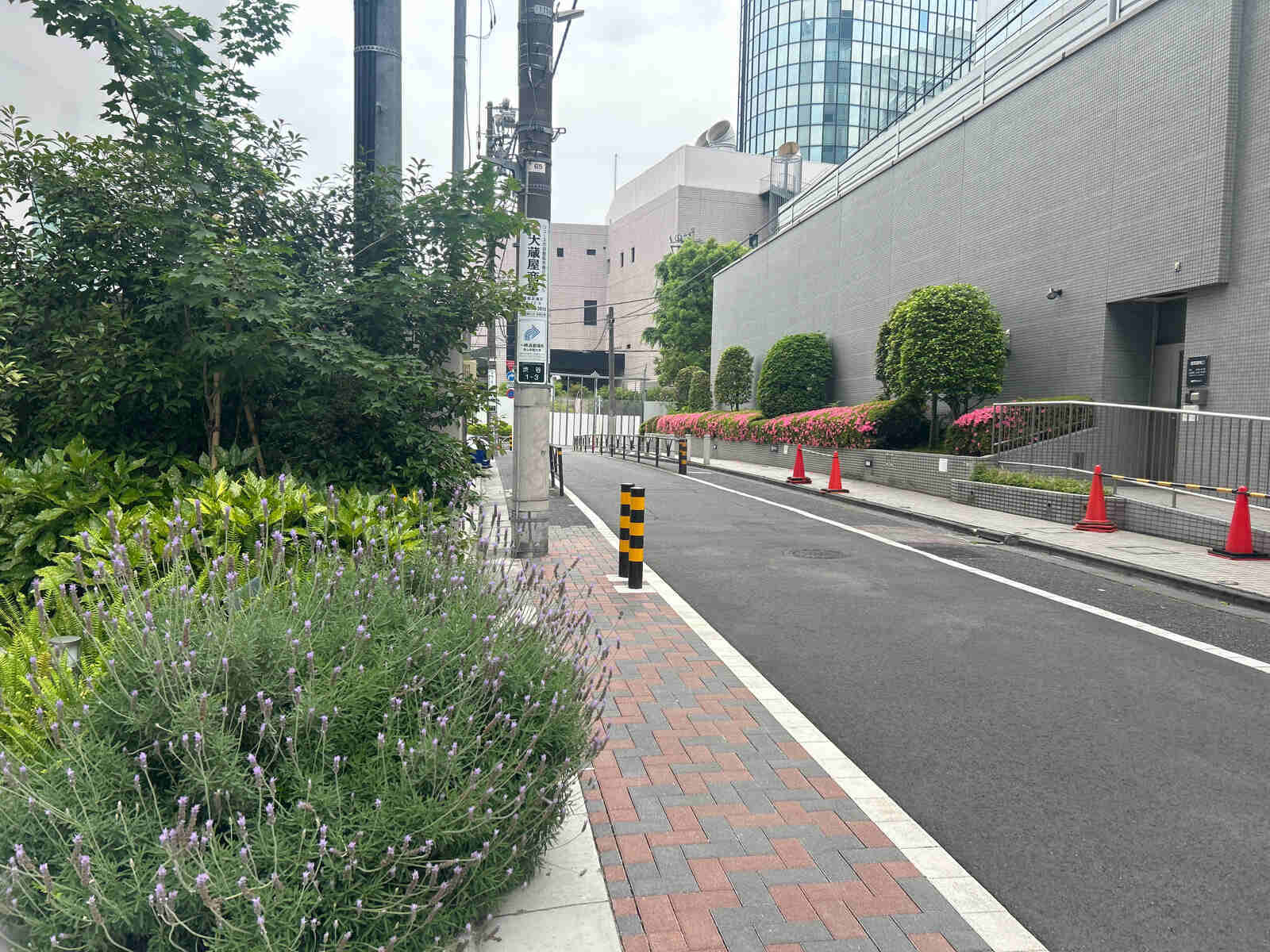 VORT渋谷east(旧：クローバー渋谷）