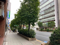 Time With新日本橋