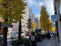 VORT浅草江戸通り