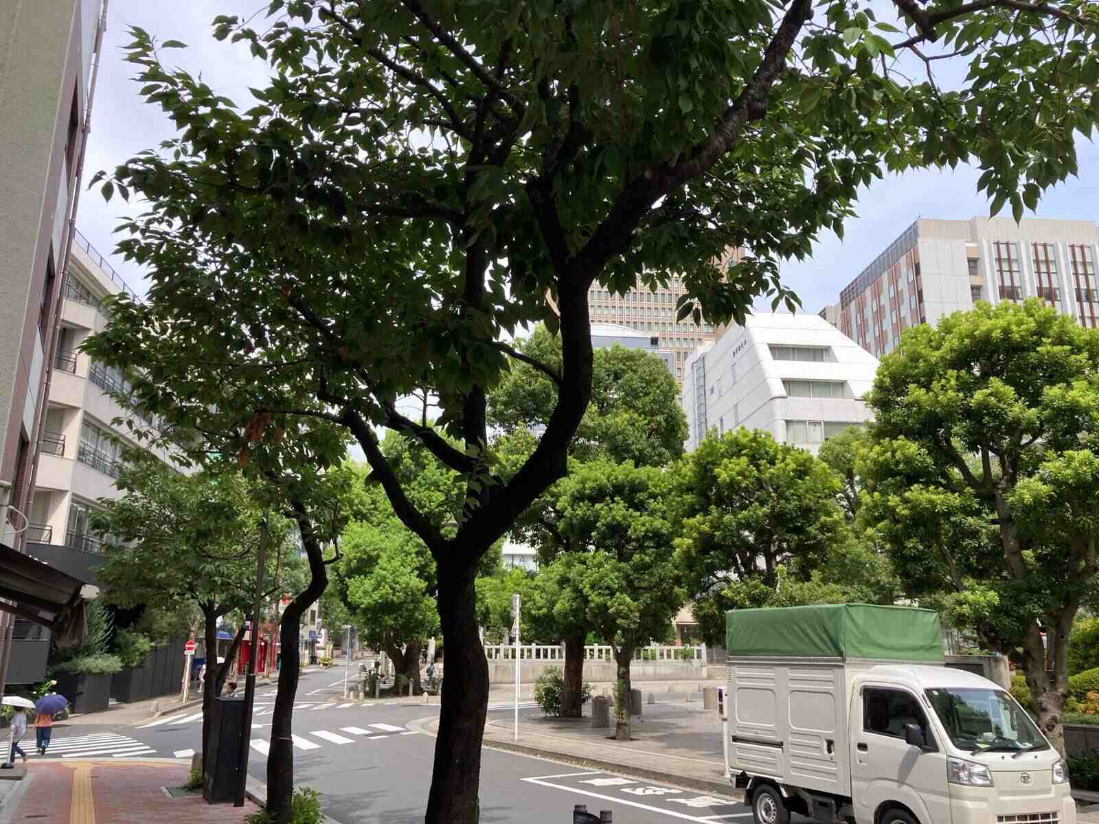 サンジュ共和十番館ビル